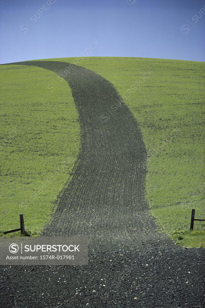 Stock Photo: 1574R-017981 High angle view of a walkway in a landscape