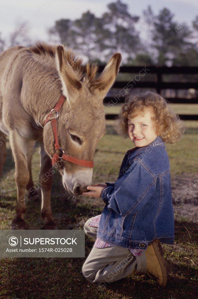 Stock Photo: 1574R-02502B Portrait of a girl feeding a donkey