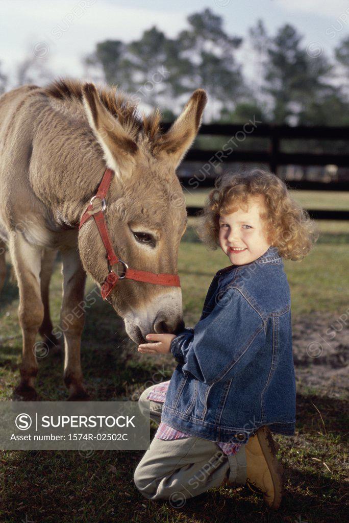 Stock Photo: 1574R-02502C Portrait of a girl feeding a donkey