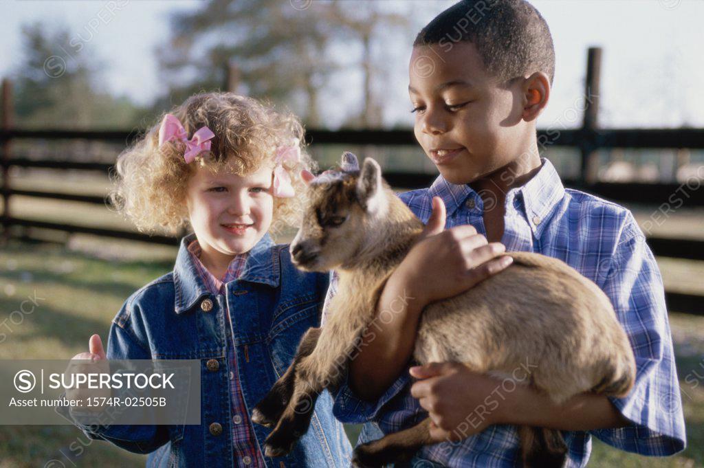 Stock Photo: 1574R-02505B Boy standing with a girl holding a goat