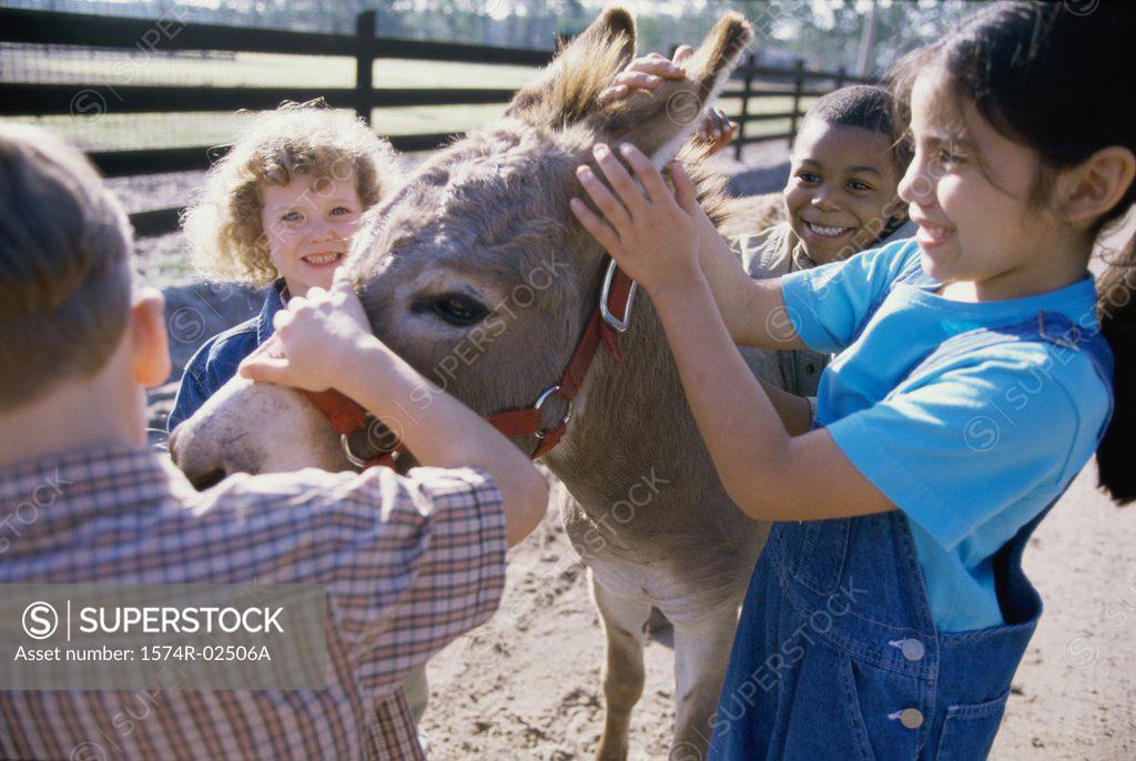 Stock Photo: 1574R-02506A Group of children standing with a donkey