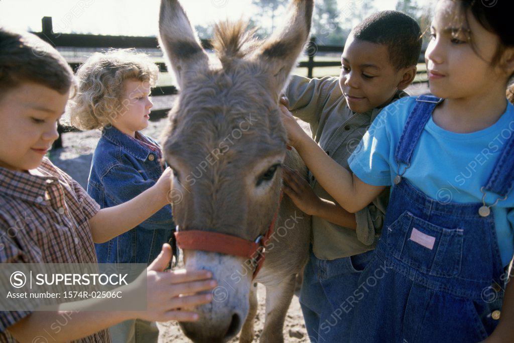 Stock Photo: 1574R-02506C Group of children standing with a donkey