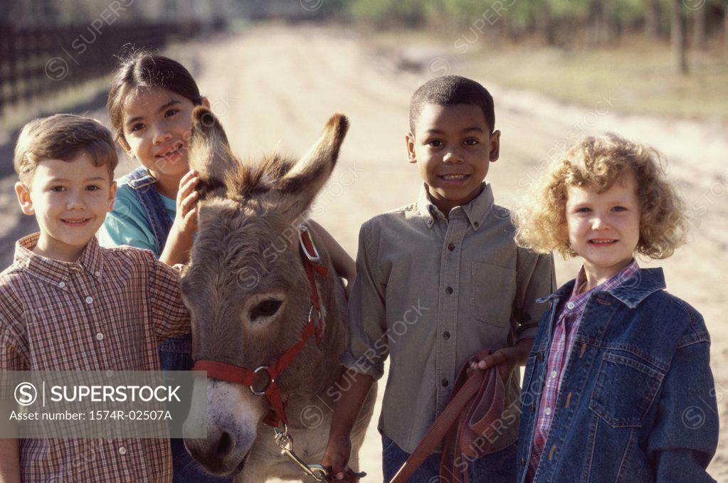 Stock Photo: 1574R-02507A Portrait of a group of children standing with a donkey