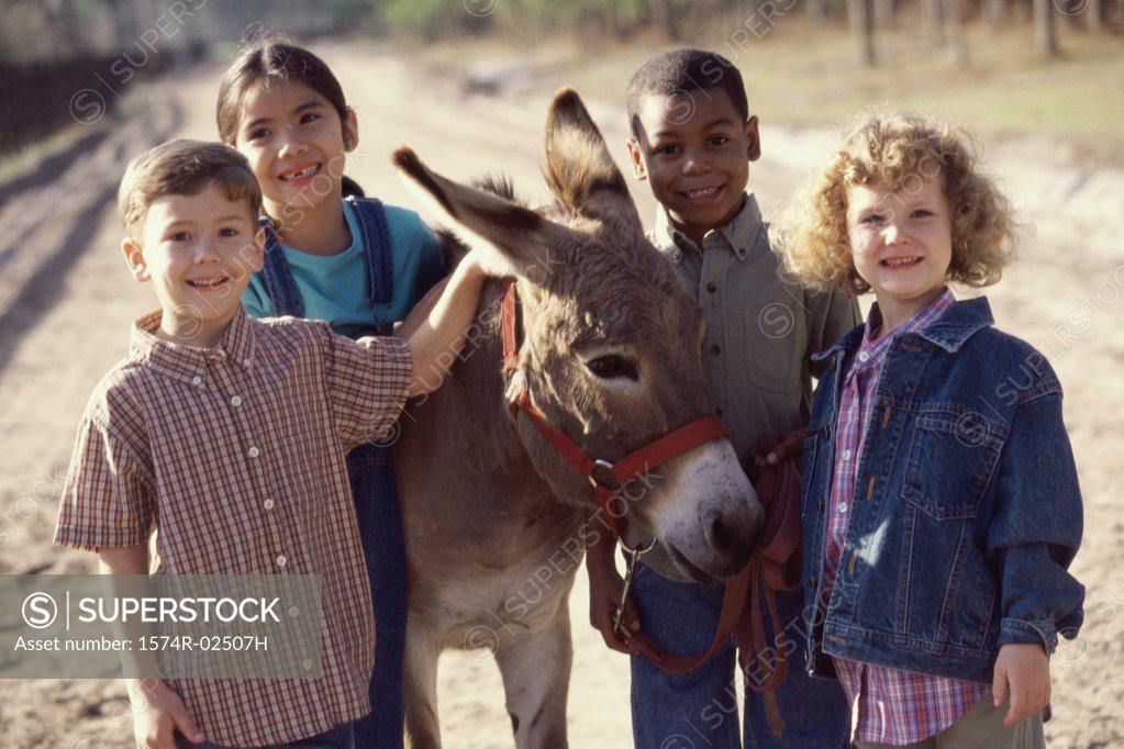 Stock Photo: 1574R-02507H Portrait of a group of children standing with a donkey