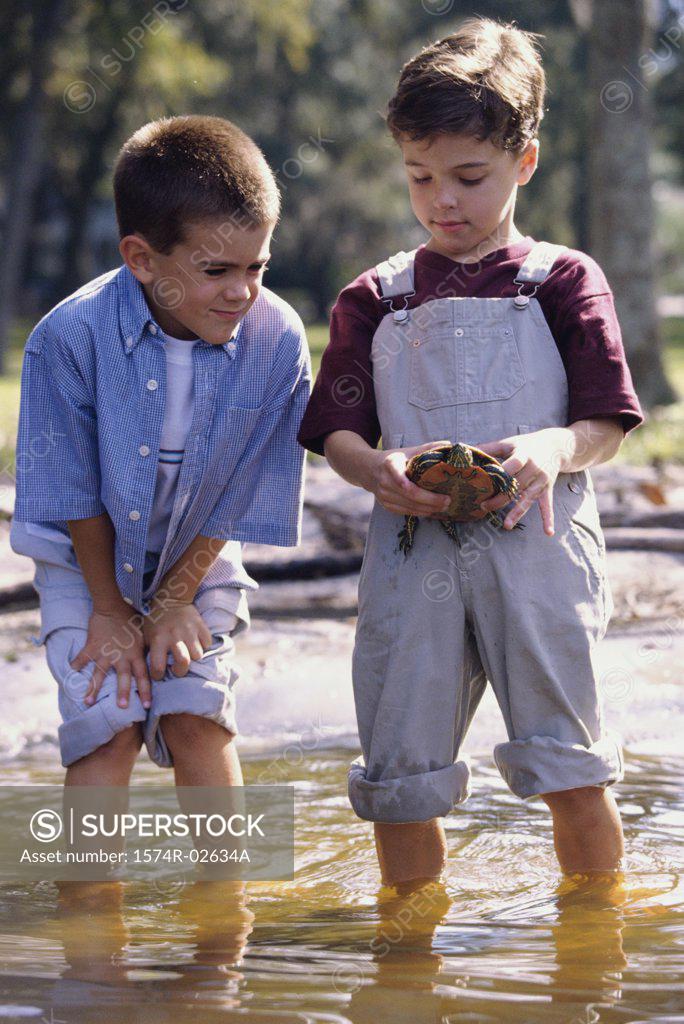 Stock Photo: 1574R-02634A Two boys standing in water holding a turtle