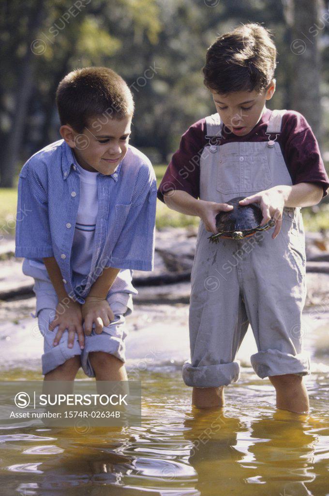 Stock Photo: 1574R-02634B Two boys standing in water holding a turtle
