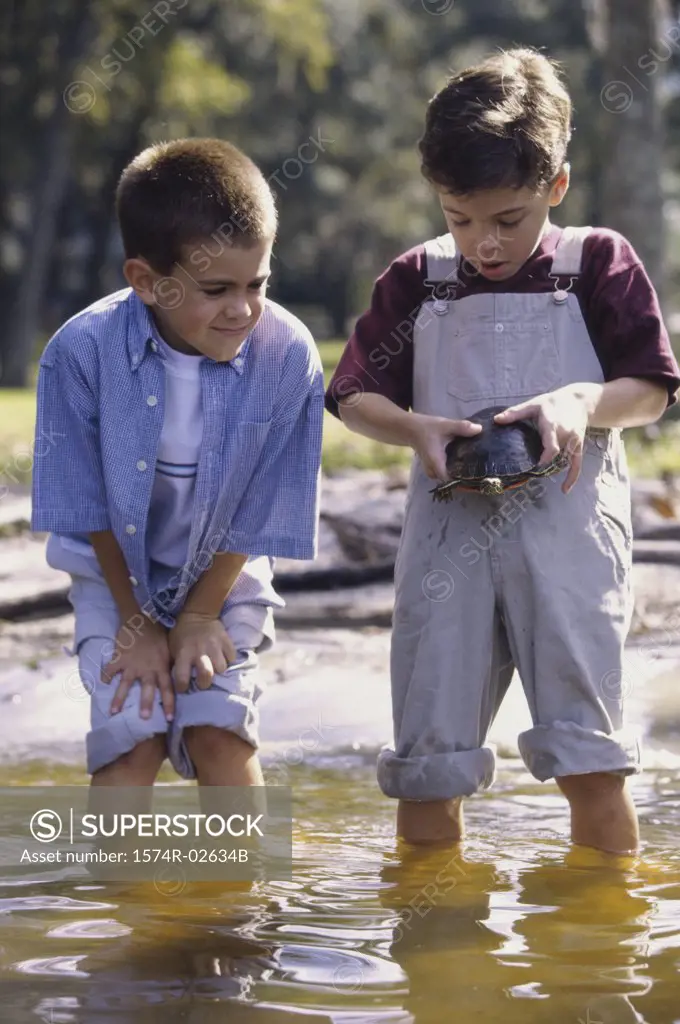 Two boys standing in water holding a turtle