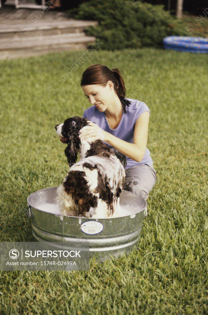 Stock Photo: 1574R-02699A Young woman bathing her dog in a tub
