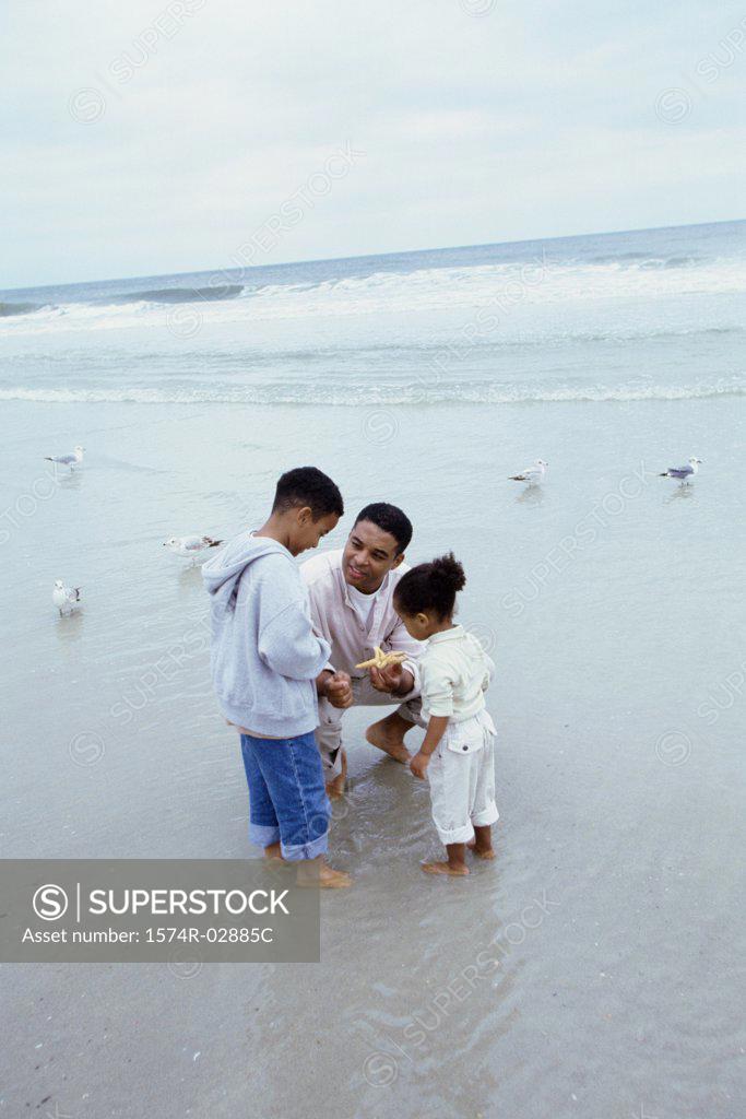 Stock Photo: 1574R-02885C Father showing his son and daughter a starfish on the beach