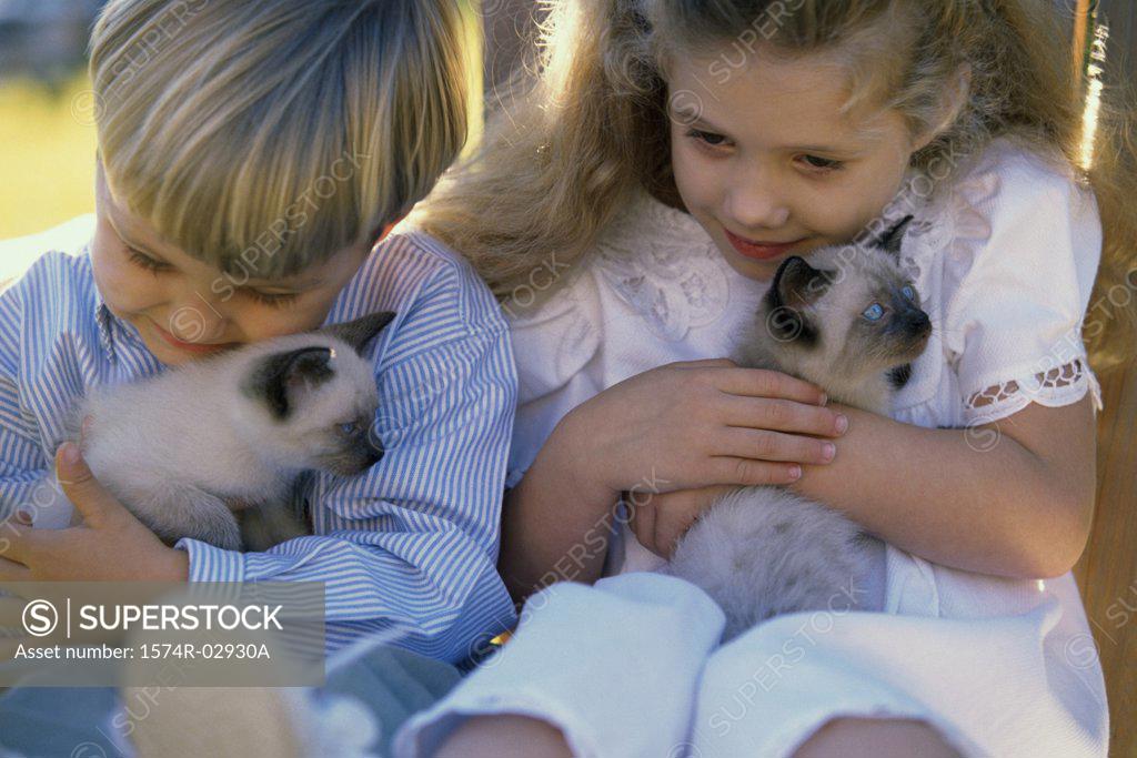 Stock Photo: 1574R-02930A Close-up of a boy and a girl sitting with Siamese kittens