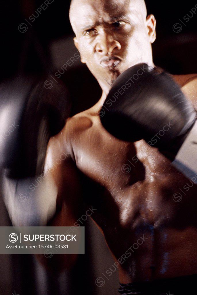 Stock Photo: 1574R-03531 Close-up of a male boxer wearing boxing gloves