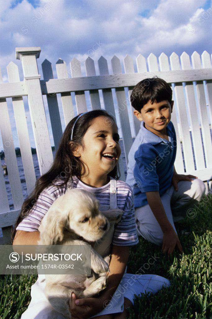 Stock Photo: 1574R-03542 Boy and a girl playing with a puppy