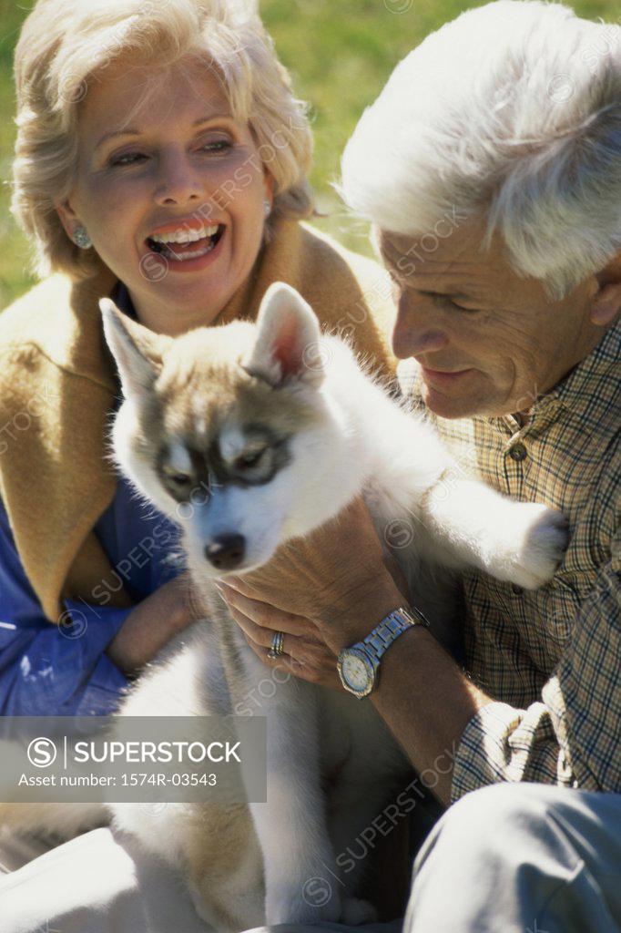 Stock Photo: 1574R-03543 Senior couple holding their dog