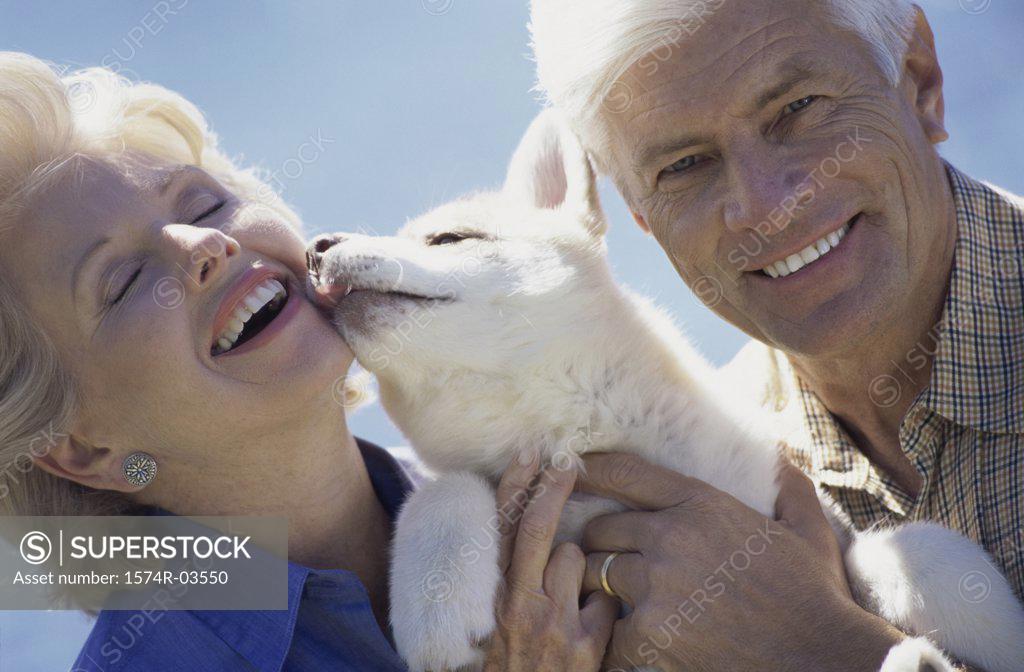 Stock Photo: 1574R-03550 Senior couple hugging their dog