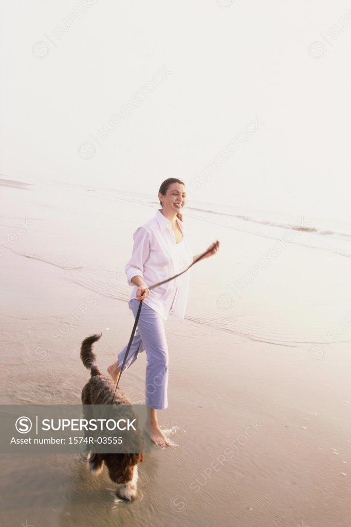 Stock Photo: 1574R-03555 Young woman taking her dog for a walk on the beach