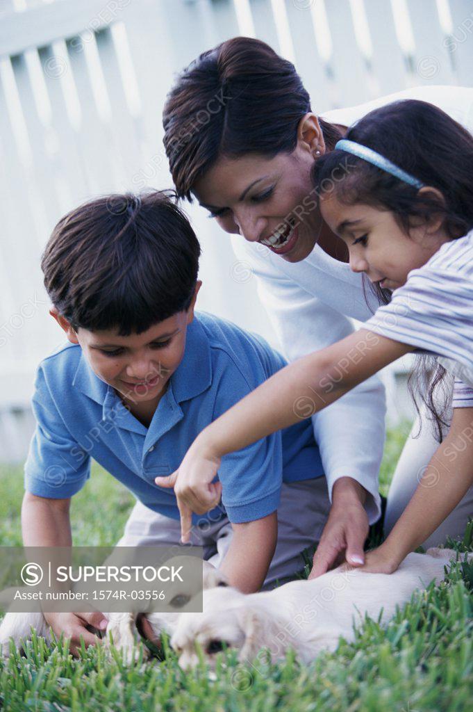 Stock Photo: 1574R-03556 Mother with her son and daughter playing with puppies