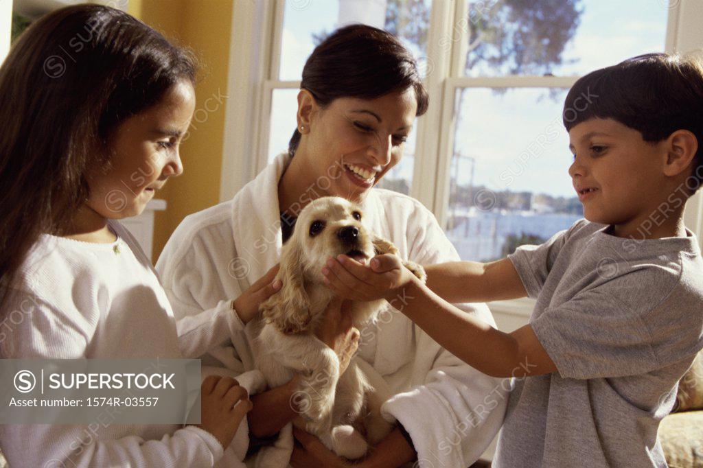 Stock Photo: 1574R-03557 Mother with her son and daughter holding a puppy