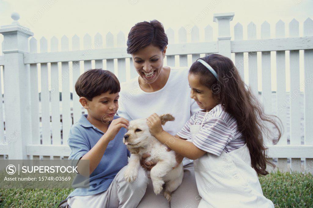 Stock Photo: 1574R-03569 Mother with her son and daughter petting a puppy
