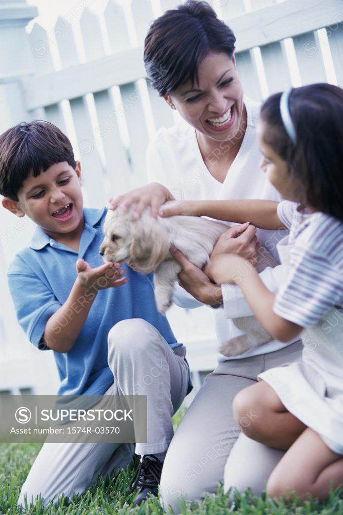 Stock Photo: 1574R-03570 Mother with her son and daughter petting a puppy