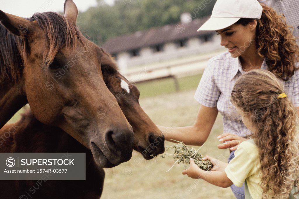 Stock Photo: 1574R-03577 Girl and her mother feeding two horses