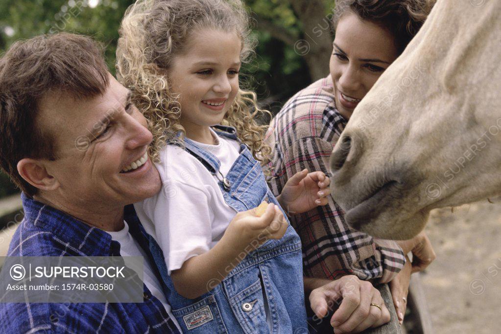 Stock Photo: 1574R-03580 Parents with their daughter feeding a horse