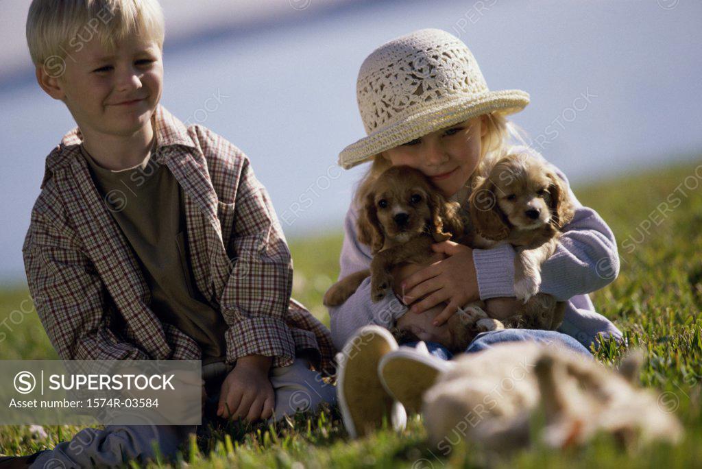 Stock Photo: 1574R-03584 Boy and a girl sitting with puppies