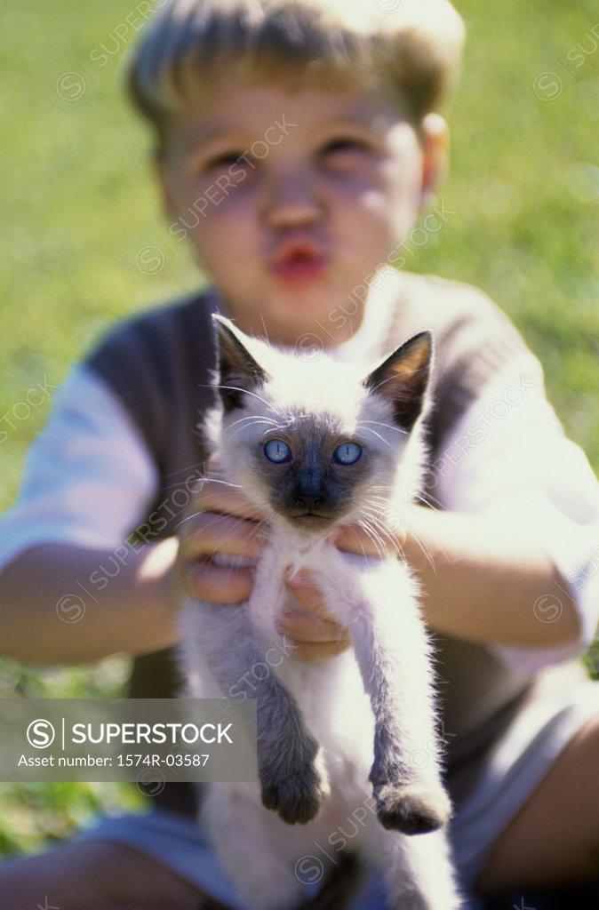 Stock Photo: 1574R-03587 Boy holding a Siamese kitten