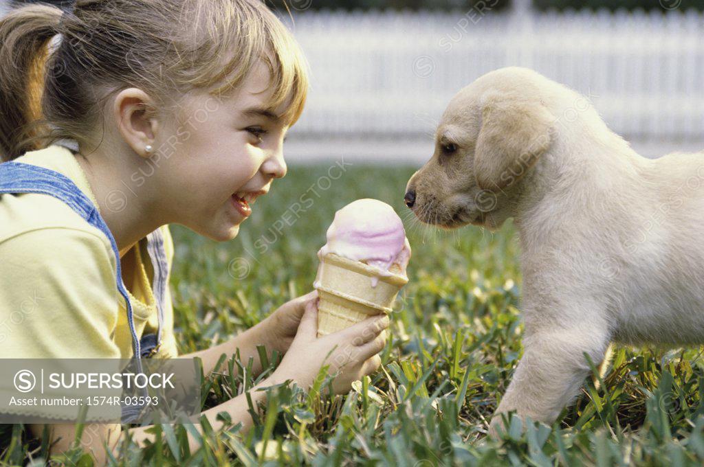 Stock Photo: 1574R-03593 Side profile of a girl holding an ice cream cone in front of a puppy