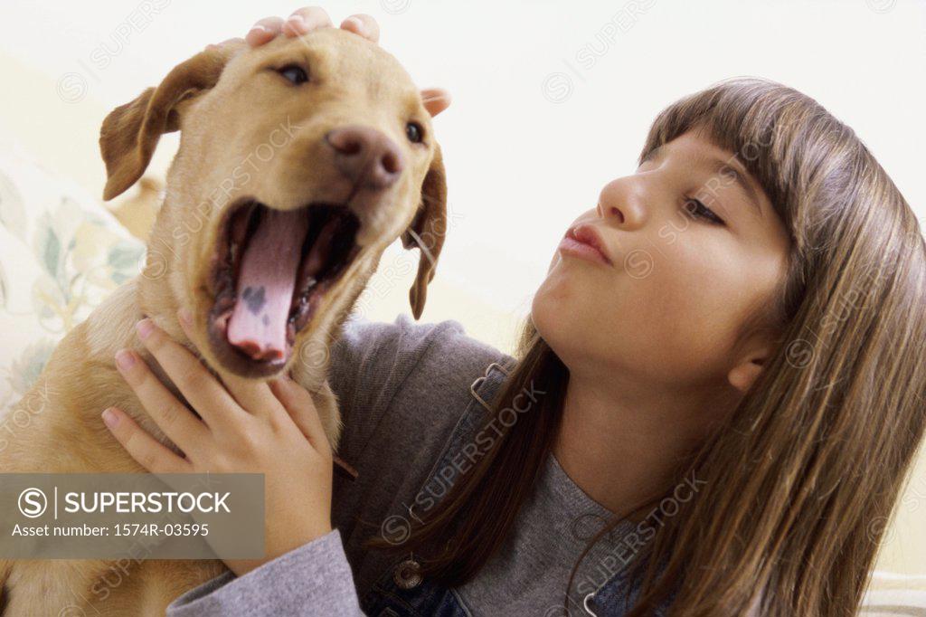 Stock Photo: 1574R-03595 Close-up of a girl holding her dog