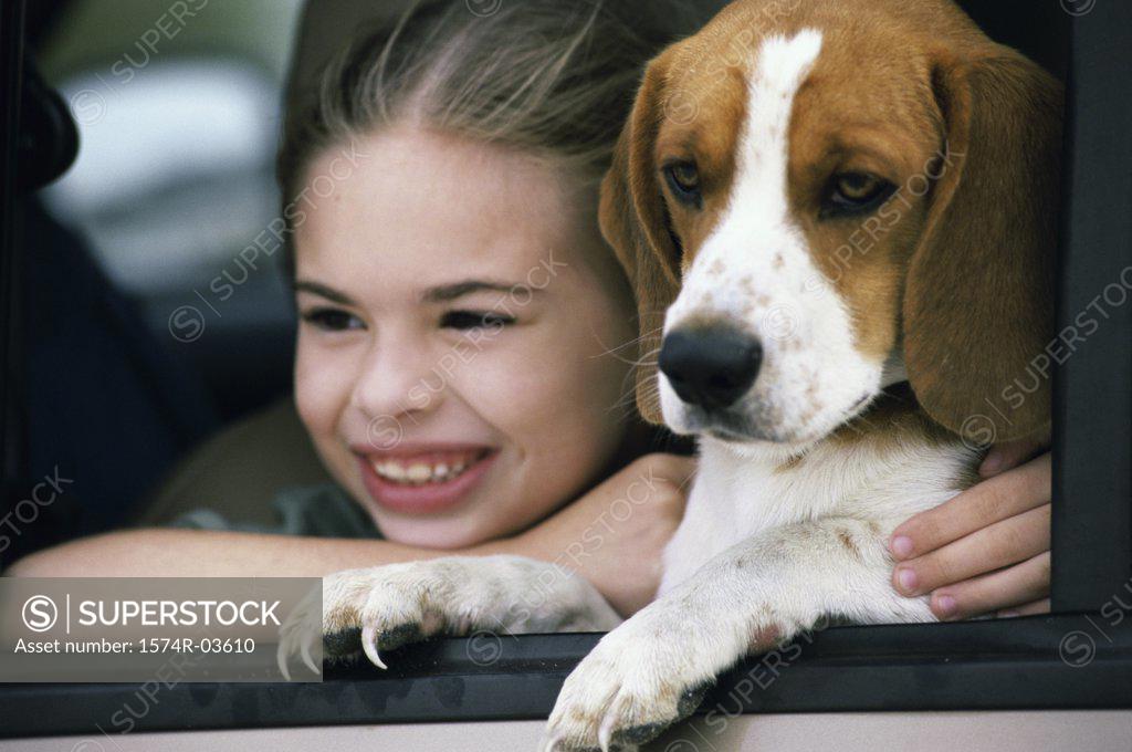 Stock Photo: 1574R-03610 Close-up of a girl holding her dog