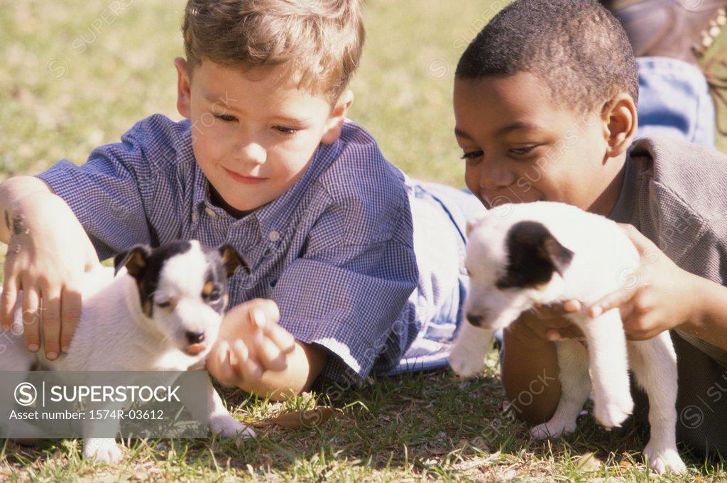 Stock Photo: 1574R-03612 Close-up of two boys holding puppies