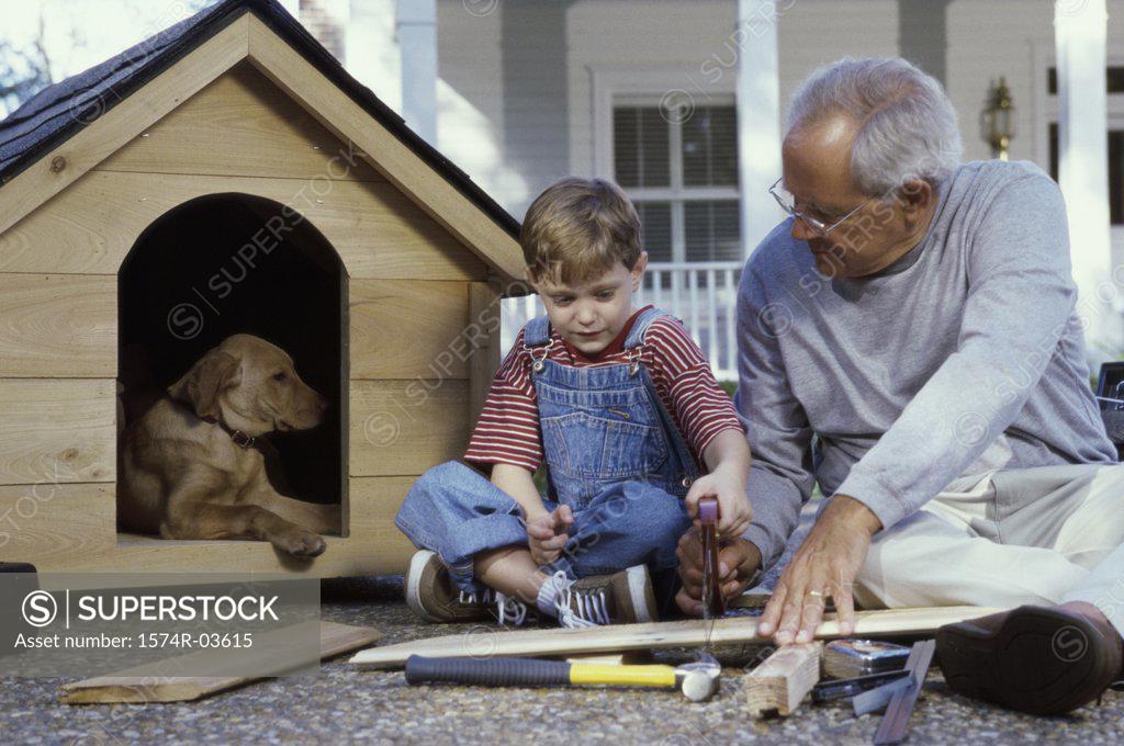 Stock Photo: 1574R-03615 Grandfather and his grandson building a kennel