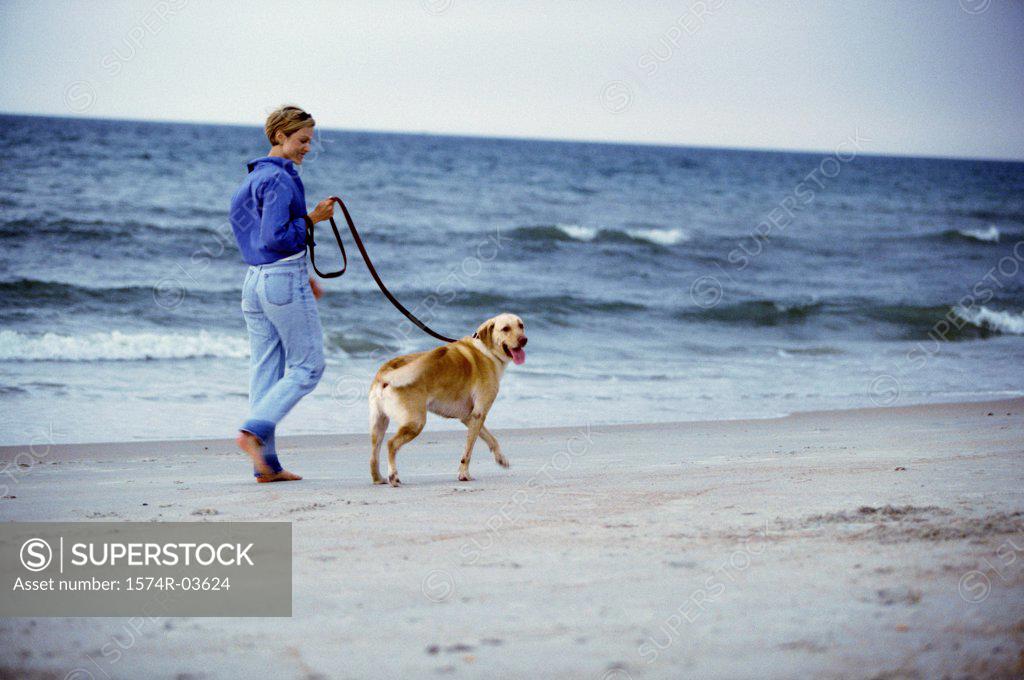 Stock Photo: 1574R-03624 Young woman walking with her dog on the beach