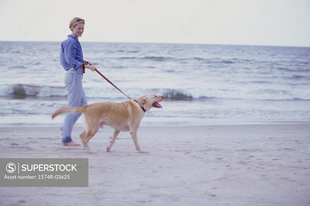 Stock Photo: 1574R-03625 Young woman walking with her dog on the beach