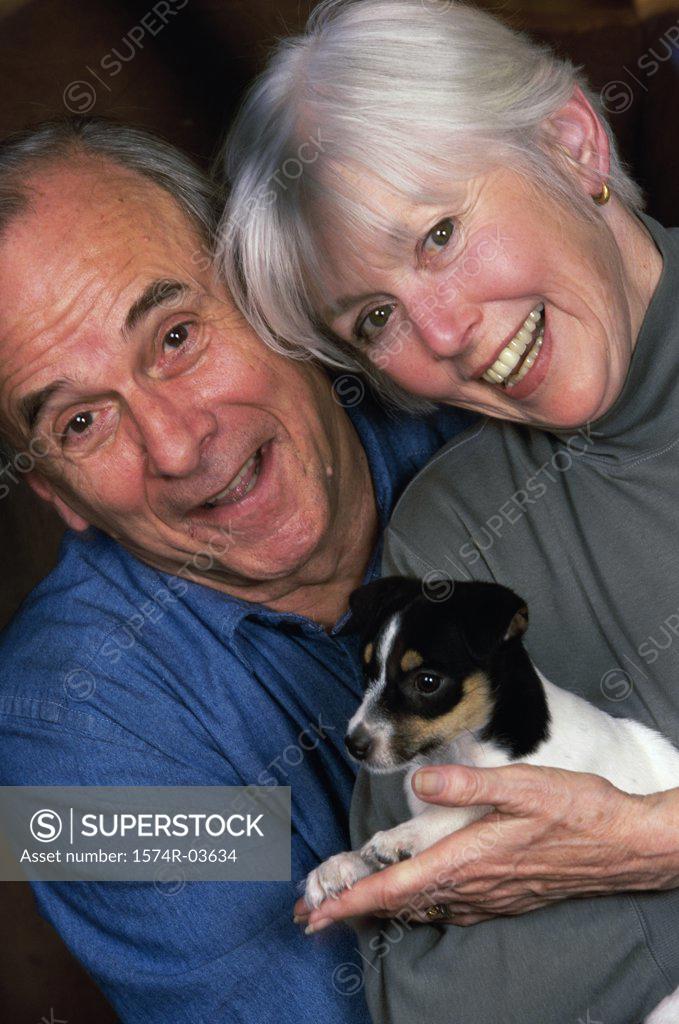 Stock Photo: 1574R-03634 Portrait of a senior couple holding a puppy