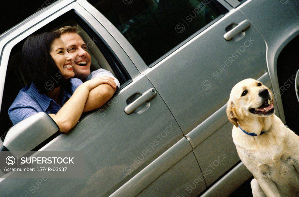 Stock Photo: 1574R-03637 Mid adult couple sitting in a car