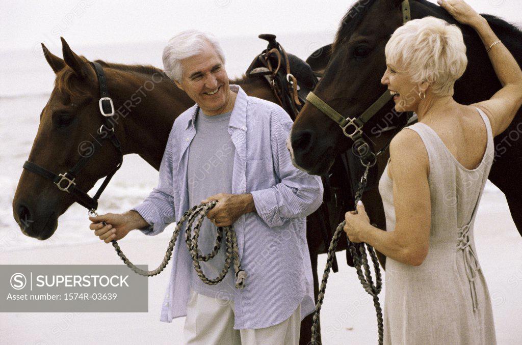 Stock Photo: 1574R-03639 Senior couple with horses on the beach
