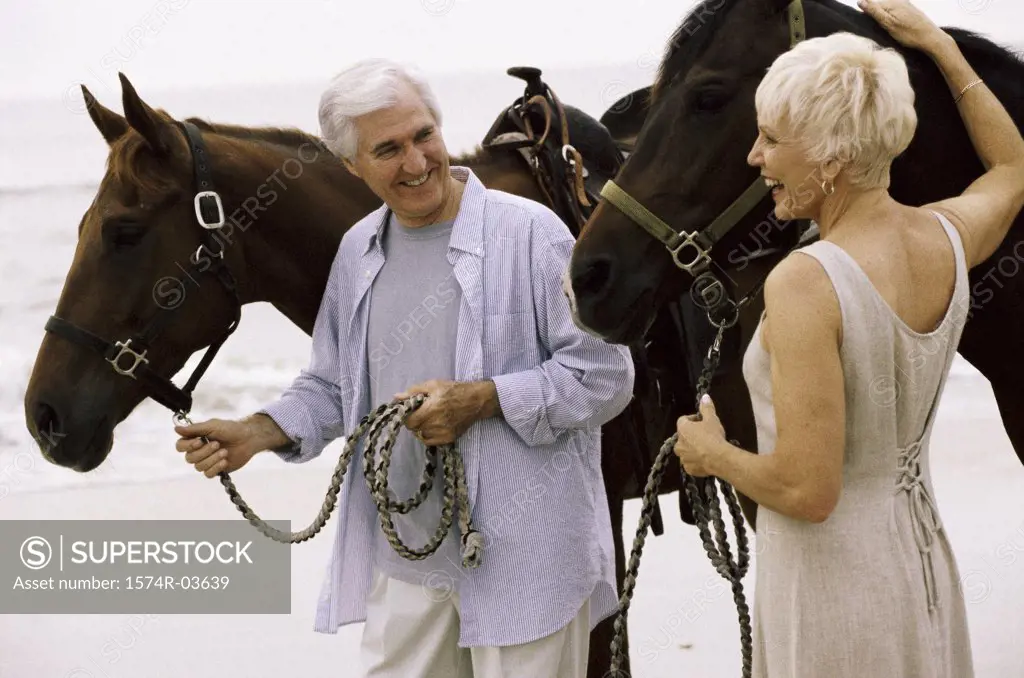 Senior couple with horses on the beach