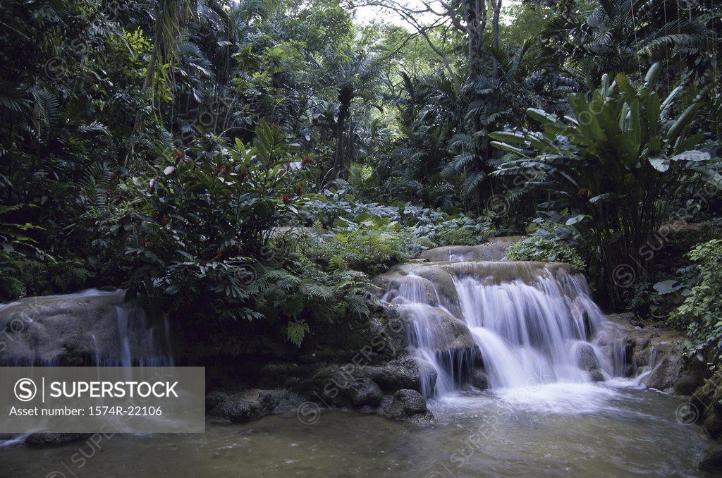Stock Photo: 1574R-22106 Waterfall in a forest, Jamaica