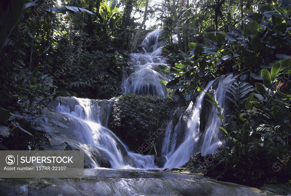 Stock Photo: 1574R-22107 Waterfall in a forest, Jamaica