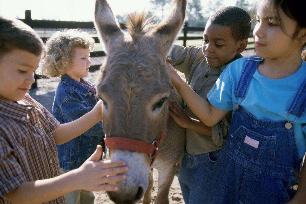 Group of children standing with a donkey