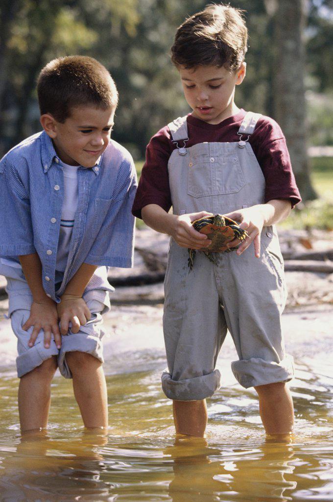 Two boys standing in water holding a turtle
