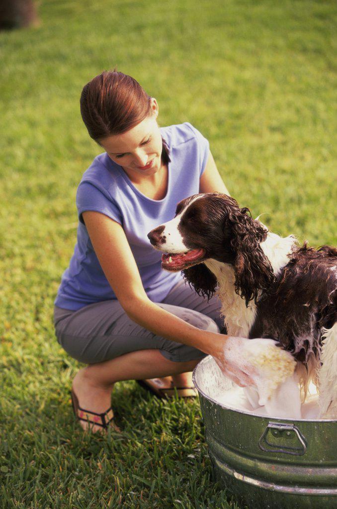 Young woman bathing her dog in a tub