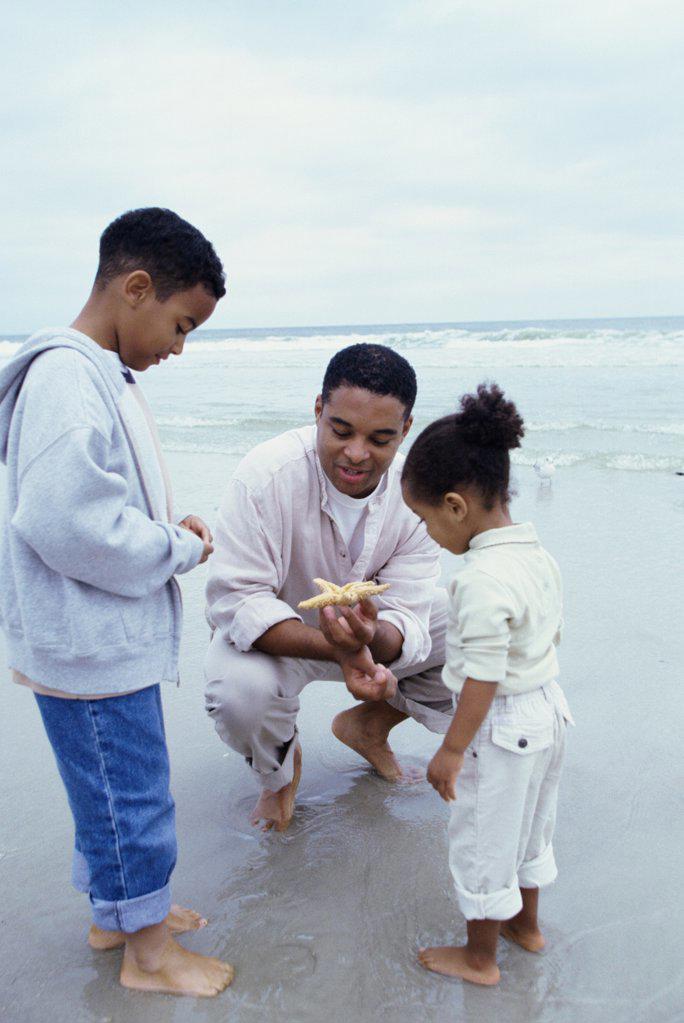 Father showing his son and daughter a starfish on the beach