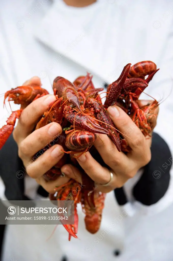 Chef holding handful of shellfish