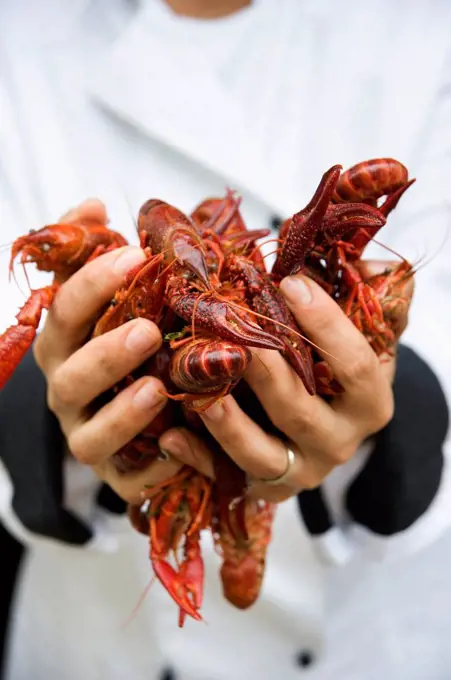 Chef holding handful of shellfish