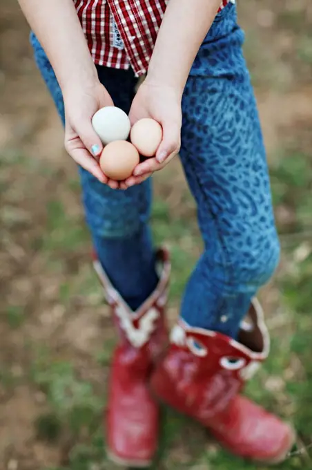 Caucasian girl holding chicken eggs on farm