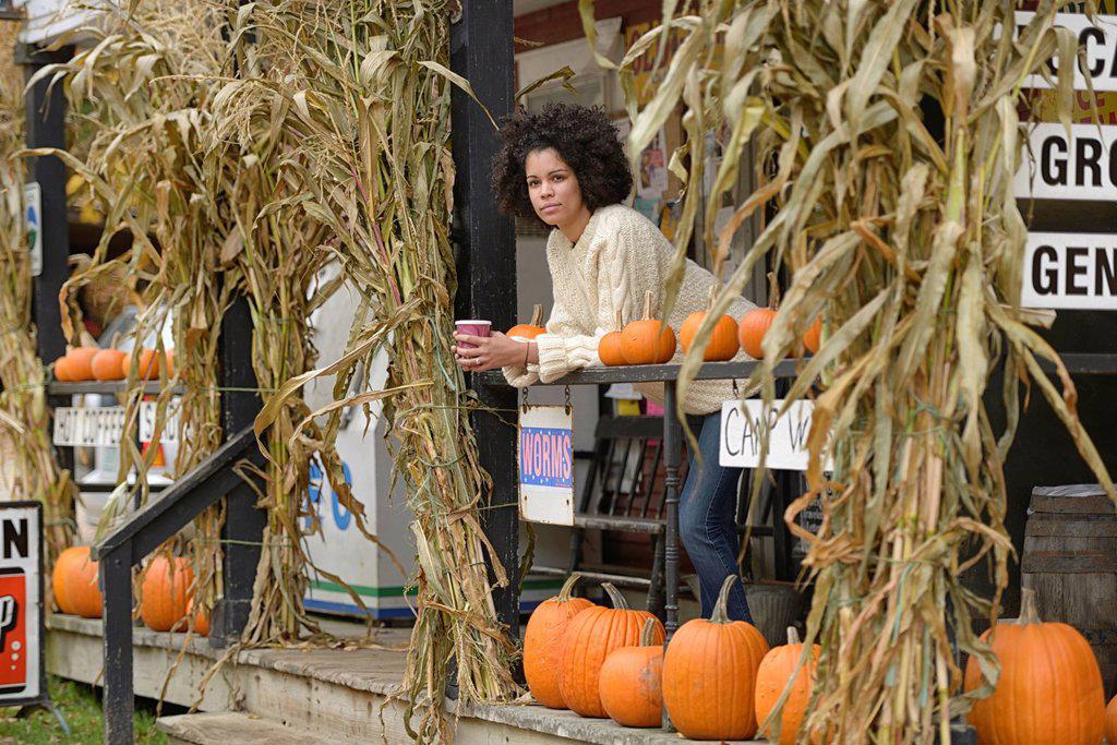 USA, United States, America, North America, East Coast, New England, Vermont, girl, afro, woman, black, african american, young, fall, country store, ...