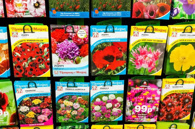 Wales, Conwy, Bodnant Garden, Garden Centre, Flower Seed Packets for Sale