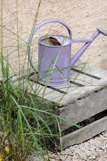 Purple watering-can
